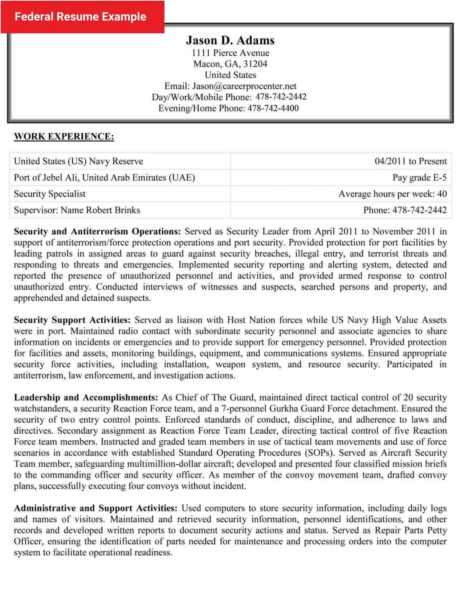 examples of government resume